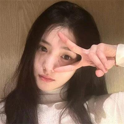 蓝色大丽花