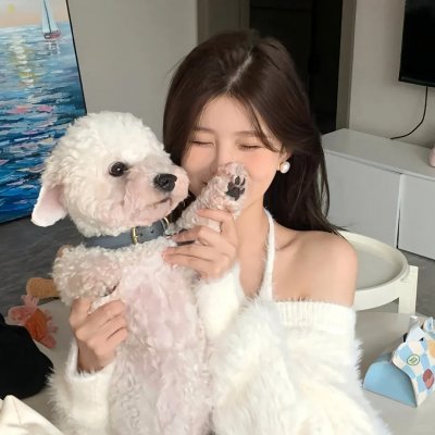 叠影江湖
